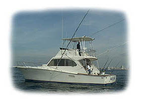 Fort lauderdale, Boca Raton, Lighthouse Point, North Miami, Boca Raton deep sea charter boats